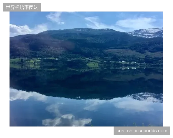 挪威队的战术体系极度消耗体能，这将是其在北美炎热气候下的最大挑战。